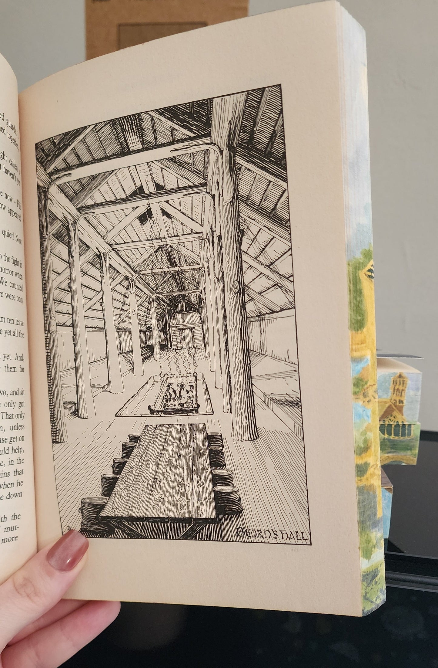 Picture in book