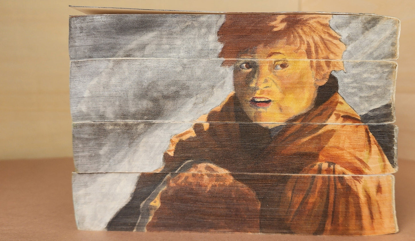 Hand Painted Lord of the Rings 4-book set