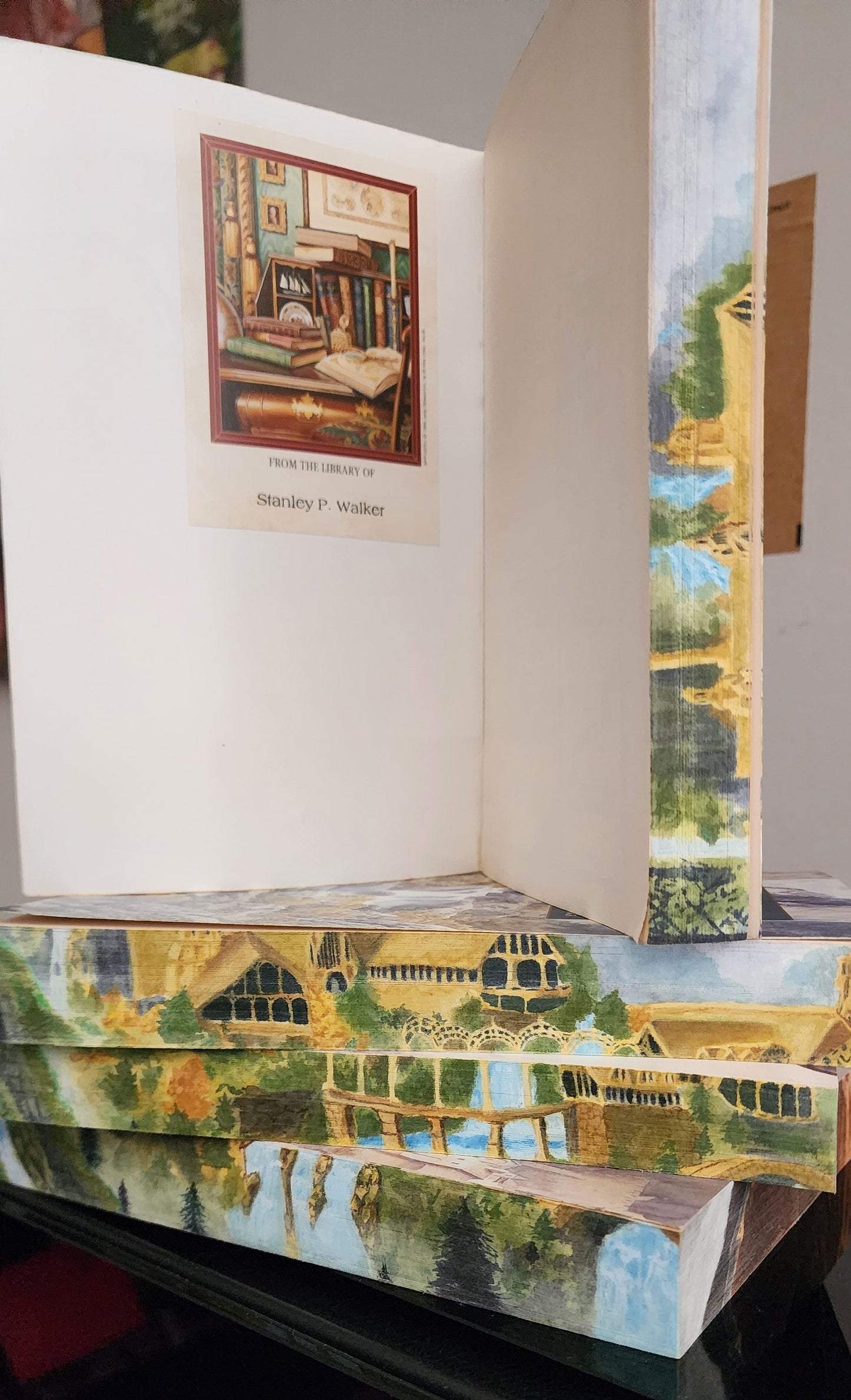 Hand Painted Lord of the Rings 4-book set